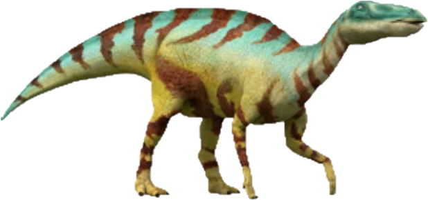 Tyrannosaurus Rex, DinoPedia - The Dino Dan Wiki