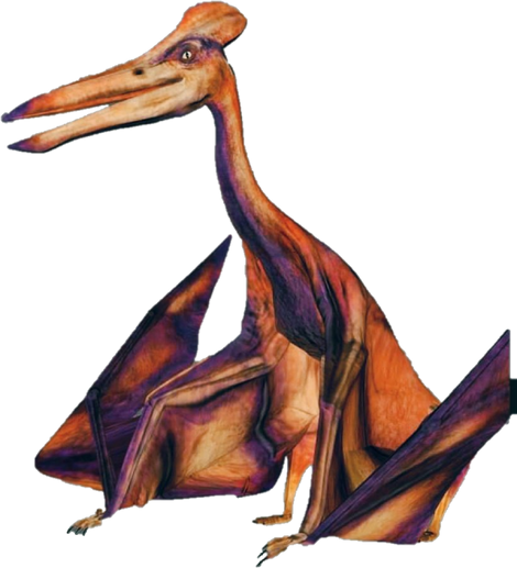 Quetzalcoatlus, Dinopedia