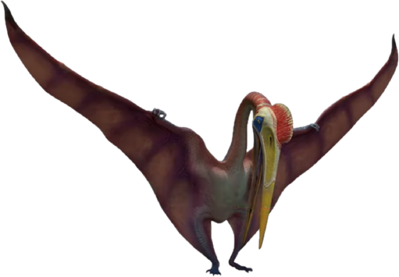 Quetzalcoatlus, Dinopedia