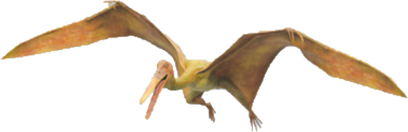 Pteranodon Pterodactyl Dinosaur on white background 8844315 PNG