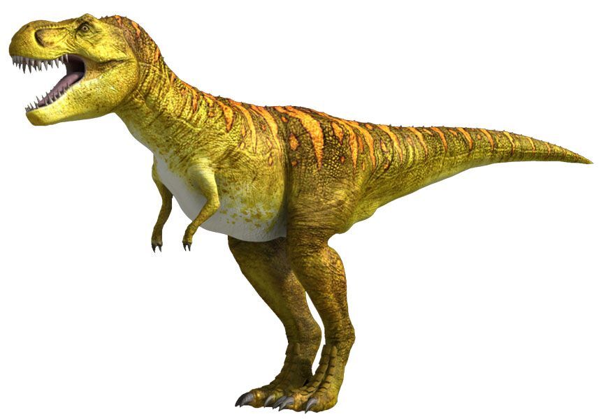 Tyrannosaurus Rex, DinoPedia - The Dino Dan Wiki