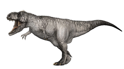 Category:Dinos, DinoPedia - The Dino Dan Wiki