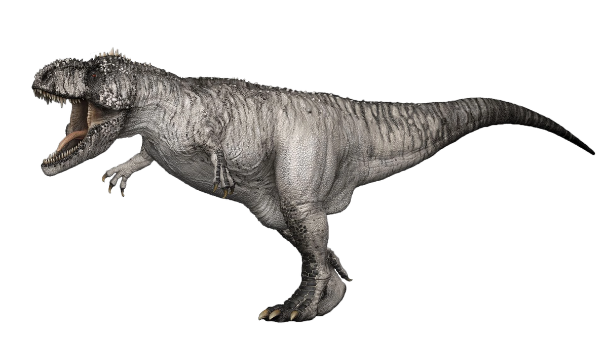 Spino, Gigantosaurus Wiki