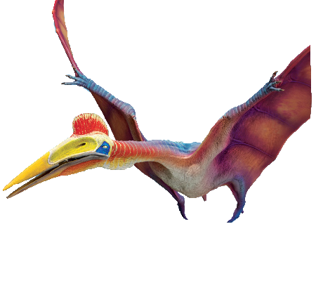 Quetzalcoatlus, Dinopedia