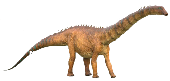 Diplodocus | DinoPedia - The Dino Dan Wiki | Fandom