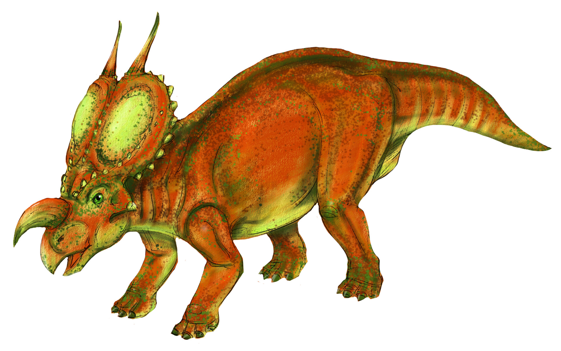 Tyrannosaurus Rex, DinoPedia - The Dino Dan Wiki