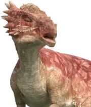 Stigimoloch.jpg