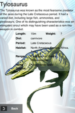 Rare Tylosaurus