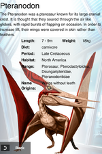 Starting Campaign Pteranodon