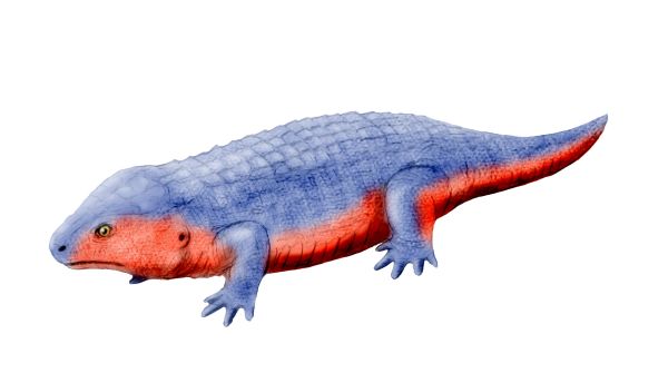 Blue Red Frog Lizard | DinoFroz Wiki | Fandom
