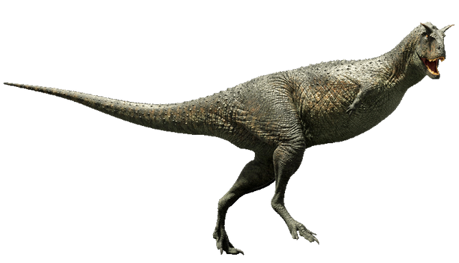 A 3-D Carnotaurus