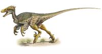 Deinonychus