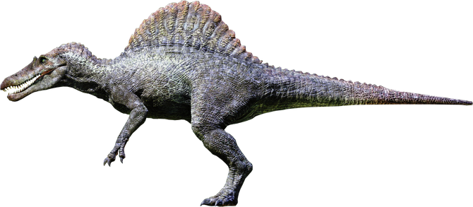 A 3-D Spinosaurus