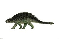 Ankylosaurus