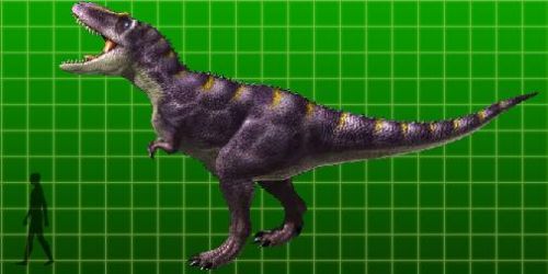 Daspletosaurus 7 | Dino rey fanon Wiki | Fandom