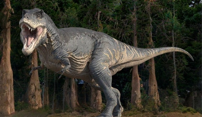 Tyrannosaurus Rex Dinosaur Chaos Wiki Fandom