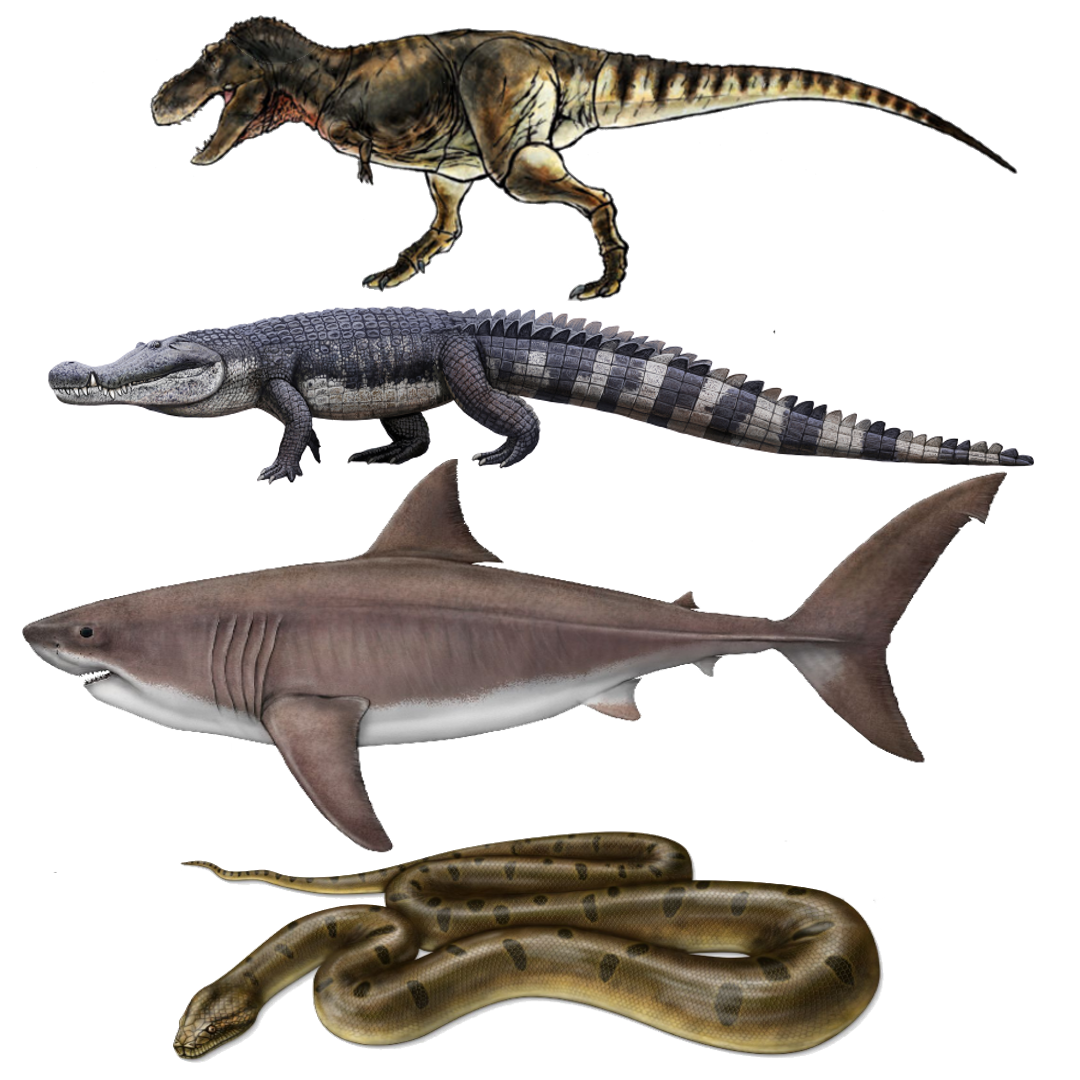 Apex Predators Dinosaur Wiki Fandom