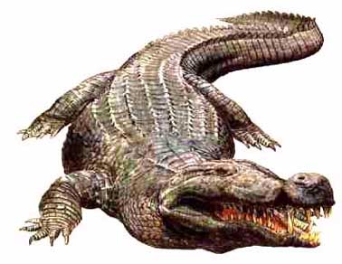 Deinosuchus – dinosauriacreatures