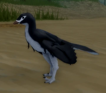 archaeopteryx Archaeopteryx | Natural History Museum