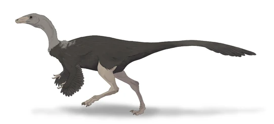 Archaeornithomimus Dinosaur Pedia Wikia Fandom