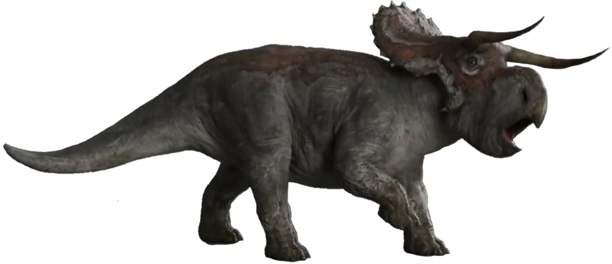 1200?cb=20200917115536