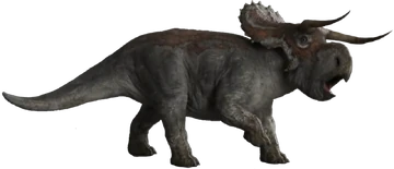 360?cb=20200917115536