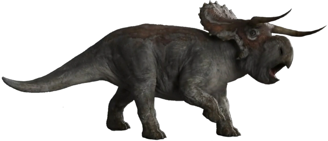 Nasutoceratops | Dinosaur Protection Group Wiki | Fandom
