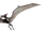 Pteranodon