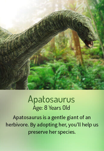Apatosaurus Dinosaur Protection Group