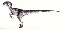 Deinonychus, Dinosaur Protection Group Wiki