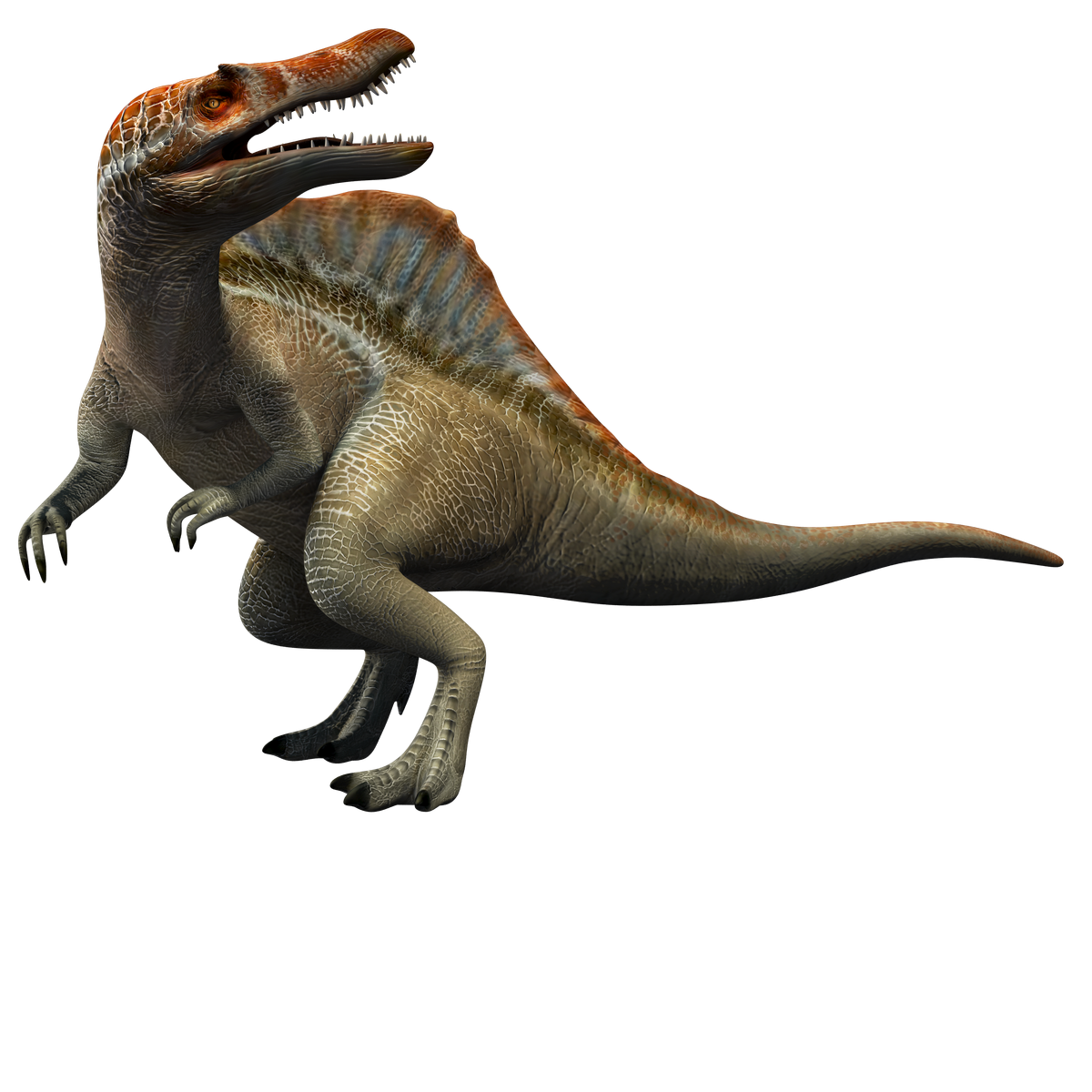This Dinosaur With Spikes On Tail Fought The Trex Crazy - q1ds0ab