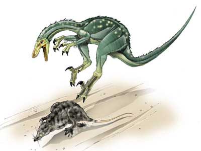 Troodon, Dinosaur Protection Group Wiki