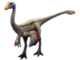 Ornithomimus
