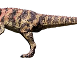 Ceratosaurus