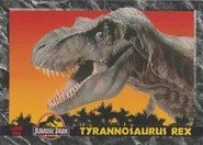 185138-11750732Fr.jpg (22 KB)