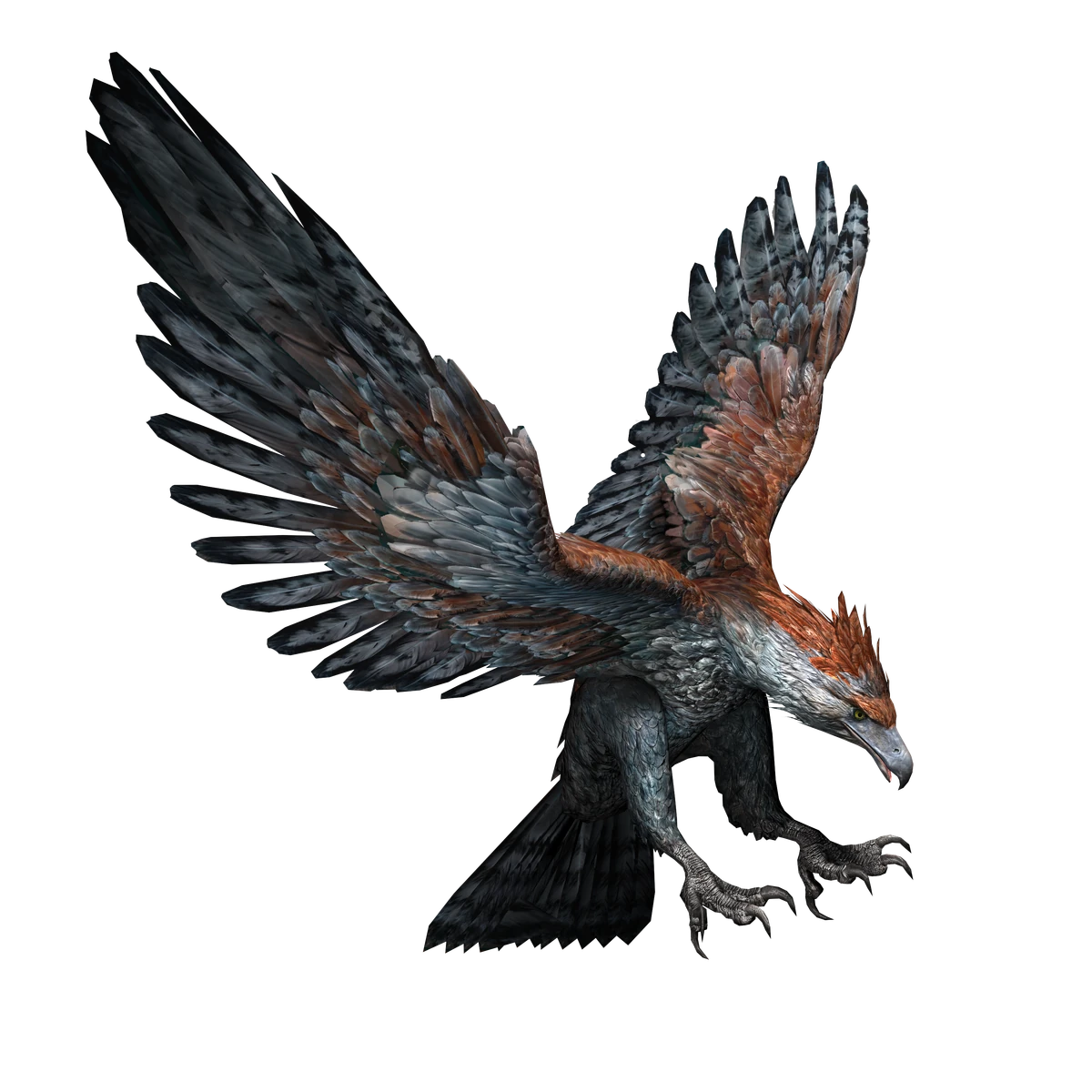 Haast's eagle Dinosaur Protection Group Wiki Fandom