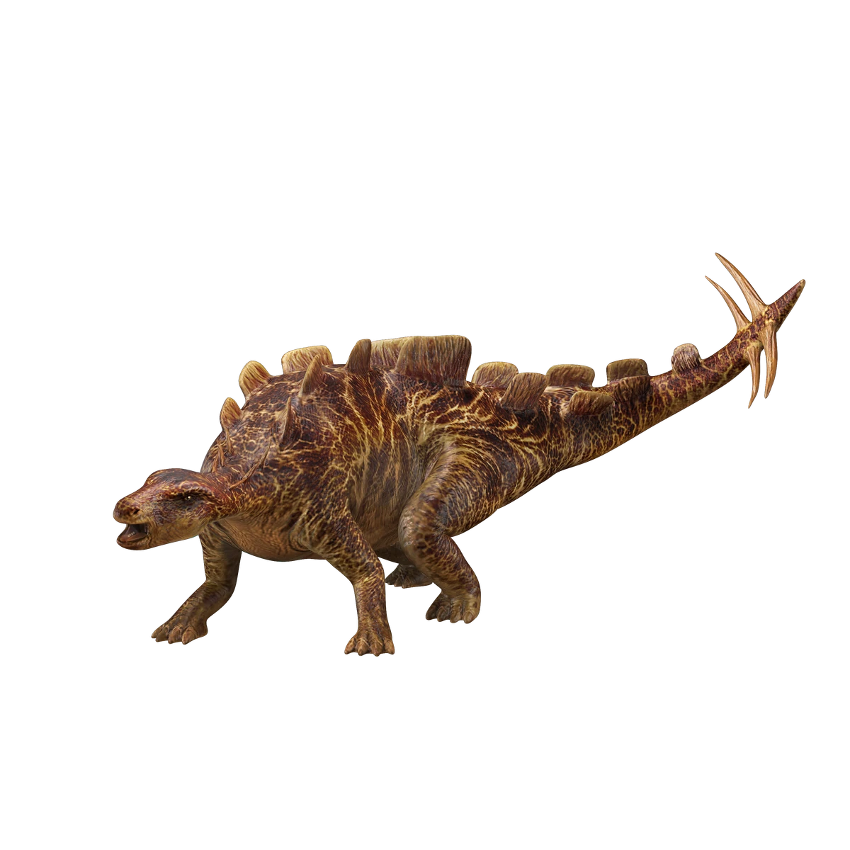 Wuerhosaurus | Dinosaur Protection Group Wiki | Fandom