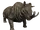 Megacerops
