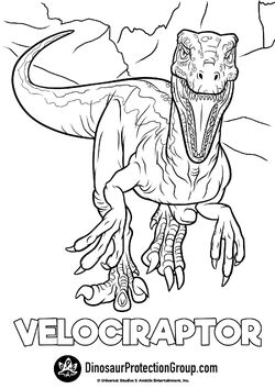Velociraptor Dinosaur Protection Group Wiki Fandom