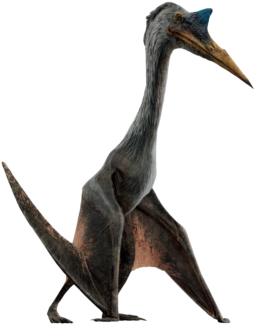 Quetzalcoatlus Dinosaur Protection Group Wiki Fandom