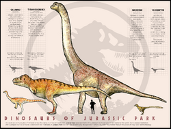 Dinosaur Poster: Down (James 3:7) – ApologeticsPress