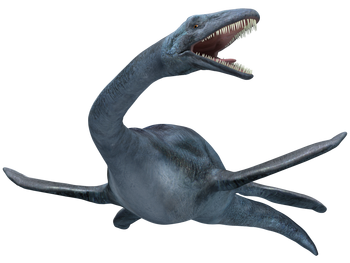 1393 elasmosaurus joanna