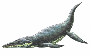 Kronosaurus queenslandicus dinosaur.wiki