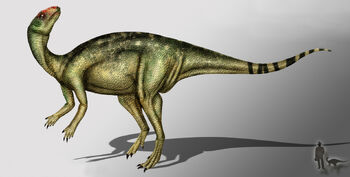 Anabisetia dinosaur.wiki