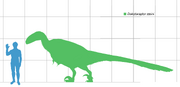 Dakotaraptor dinosaur.wiki Größenvergleich