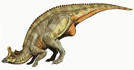 Lambeosaurus dinosaur.wiki