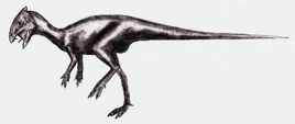 Goyocephale dinosaur.wiki
