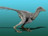 Tianyuraptor