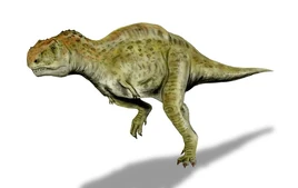 Kryptops dinosaur.wiki