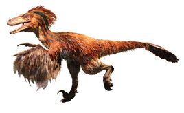 Deinonychus Dinosaur.wiki
